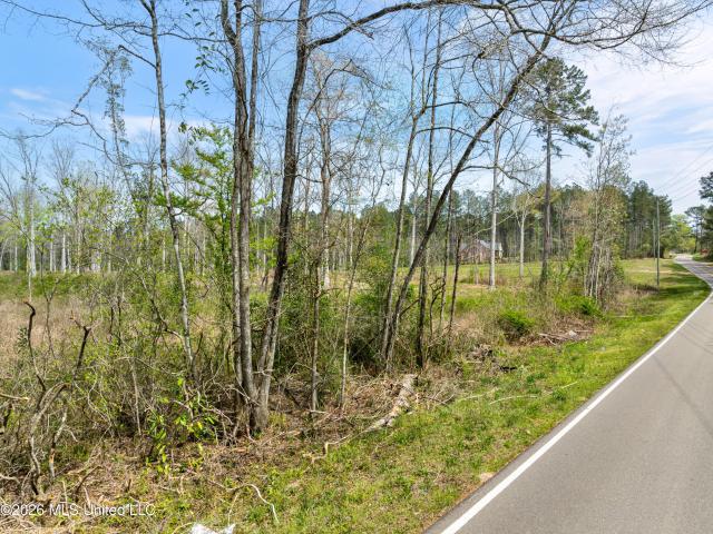 Land for sale in Sumrall, Mississippi