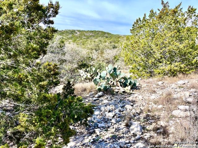 Farm for sale in Edwards, Texas