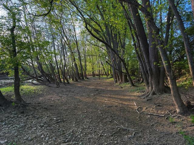 Land for sale in Ross, Ohio