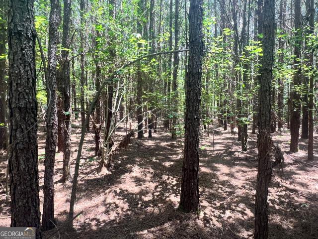 Land for sale in Jenkinsburg, Georgia