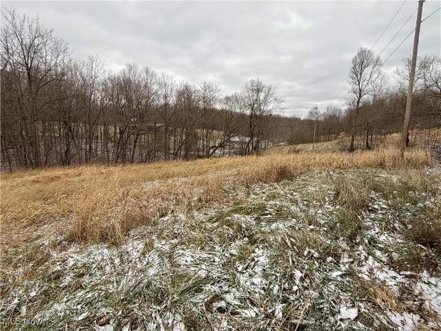 Land for sale in Philo, Ohio