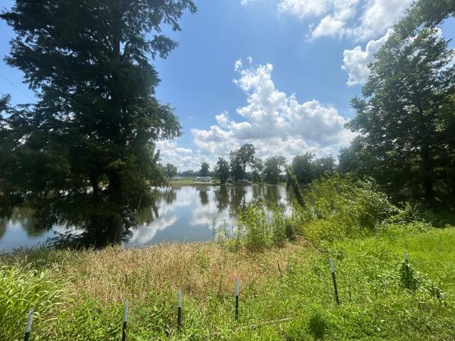 Land for sale in Brookport, Illinois