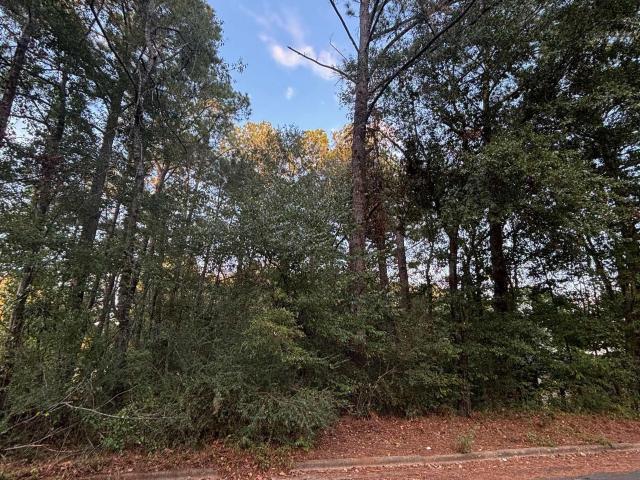 Land for sale in Alpine, Alabama