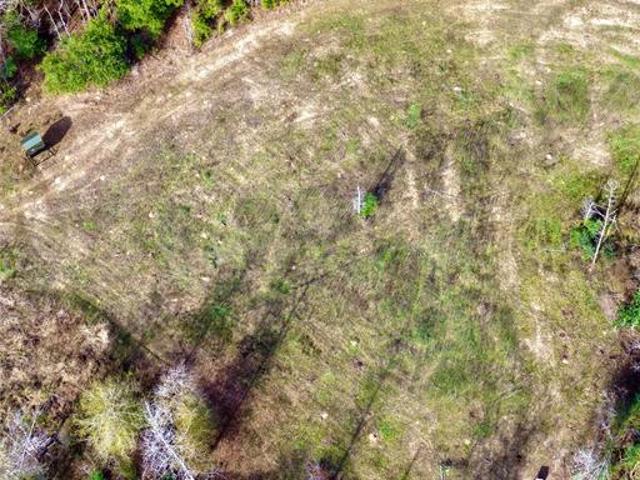 Land for sale in Polk, Texas