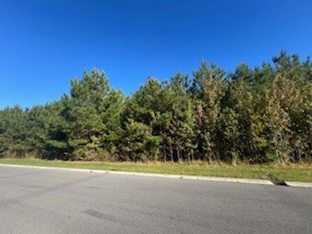 Land for sale in Tennessee