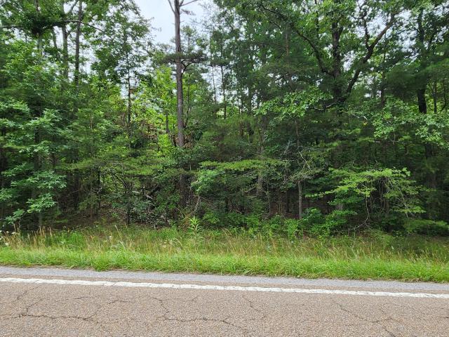 Land for sale in Tennessee