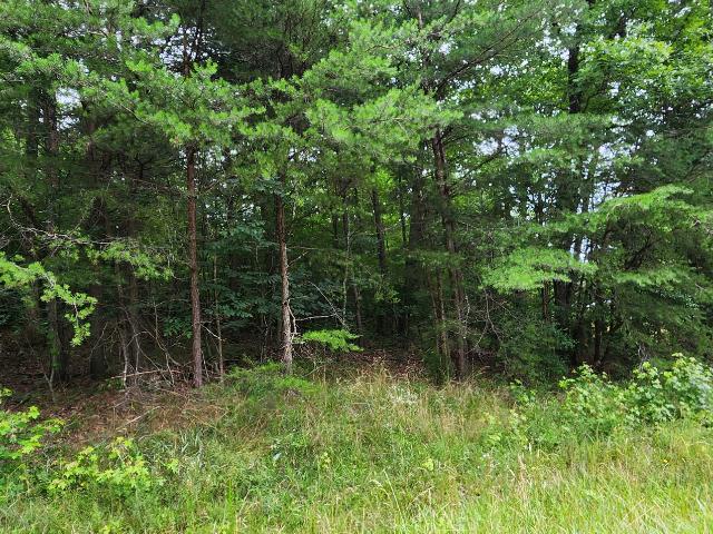 Land for sale in Tennessee