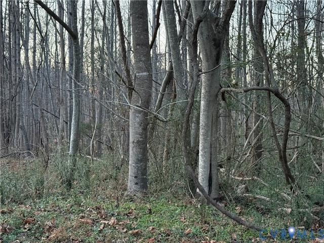 Land for sale in Virginia