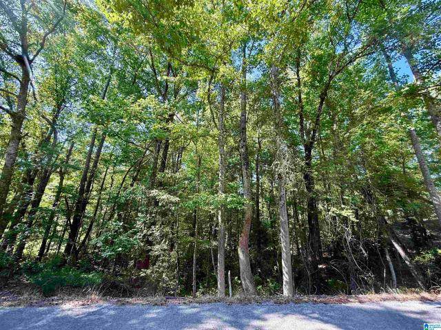 Land for sale in Alpine, Alabama