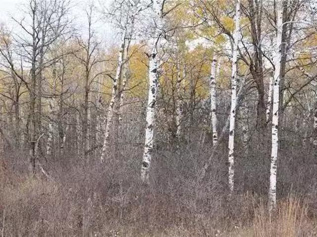 House for sale in Springfield, Manitoba