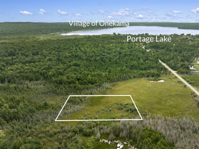 Land for sale in Michigan