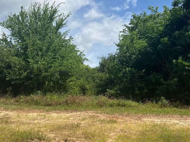 Land for sale in Texas