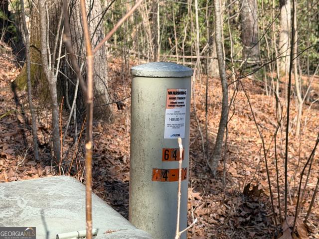 Land for sale in Dillard, Georgia