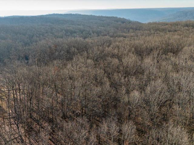 Land for sale in Tennessee