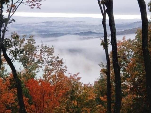 Land for sale in Pickens, Georgia