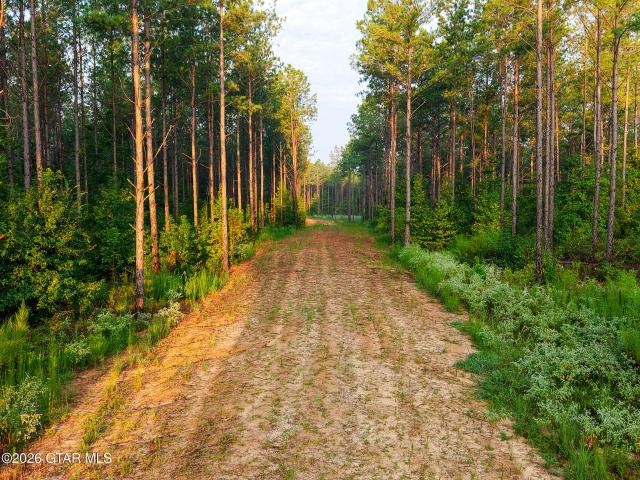 Land for sale in West Point, Clay County