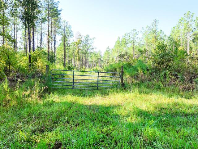 Land for sale in West Point, Clay County