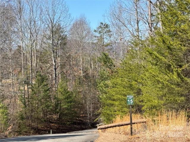 Land for sale in Rutherford, North Carolina
