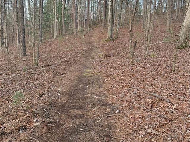 Land for sale in Pickens, Georgia