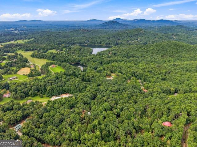 Land for sale in Cleveland, Georgia
