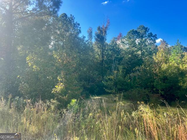 Land for sale in Dodge, Georgia