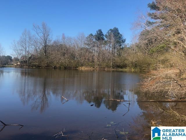 Land for sale in Blount, Alabama