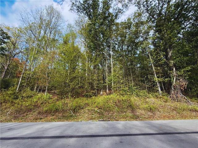 Land for sale in East Brady, Pennsylvania