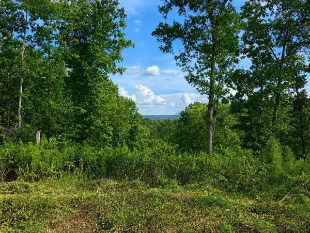 Land for sale in Pickens, Georgia