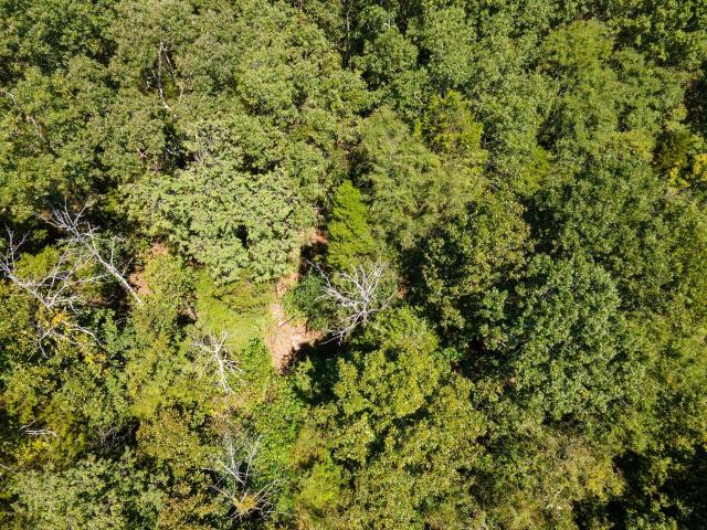 Land for sale in Tennessee