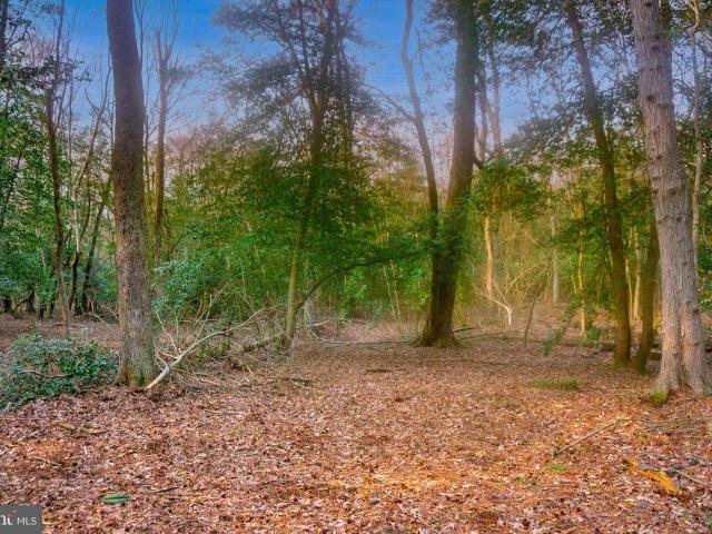 Land for sale in Wicomico, Maryland