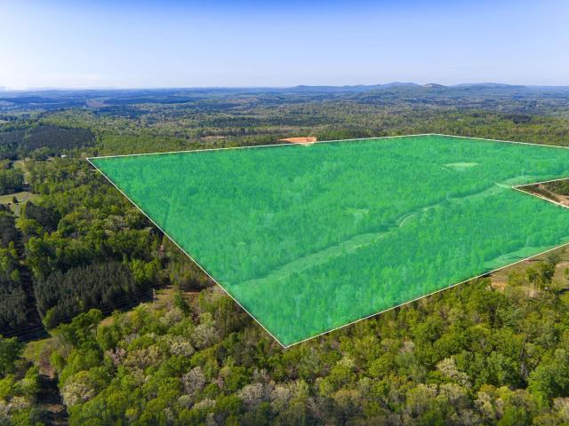 Land for sale in Cropwell, Alabama