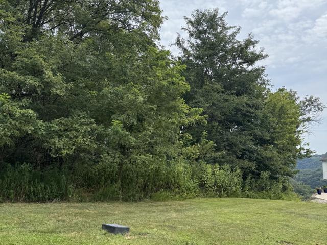 Land for sale in Smithville, Middle Tennessee