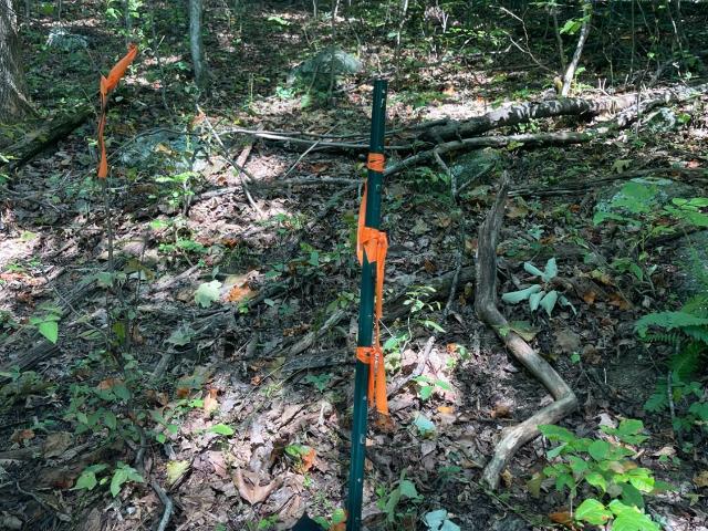 Land for sale in Virginia