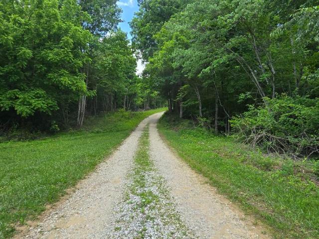 Land for sale in Tennessee