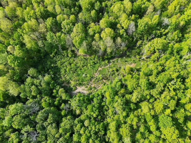 Land for sale in Centertown, Kentucky
