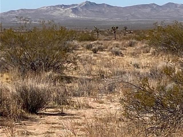 Land for sale in Helendale, California