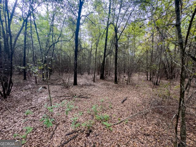 Land for sale in Waynesboro, Georgia