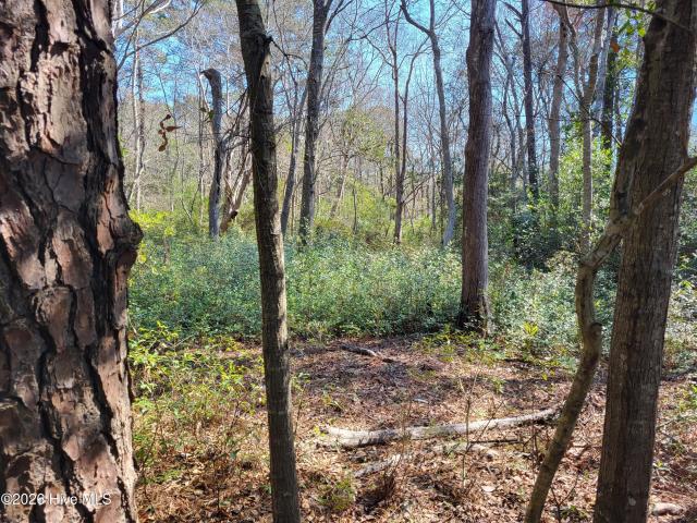Land for sale in North Carolina