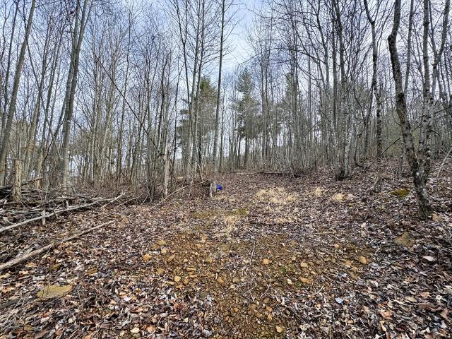 Land for sale in Virginia