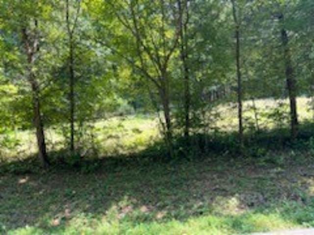 Land for sale in Tennessee