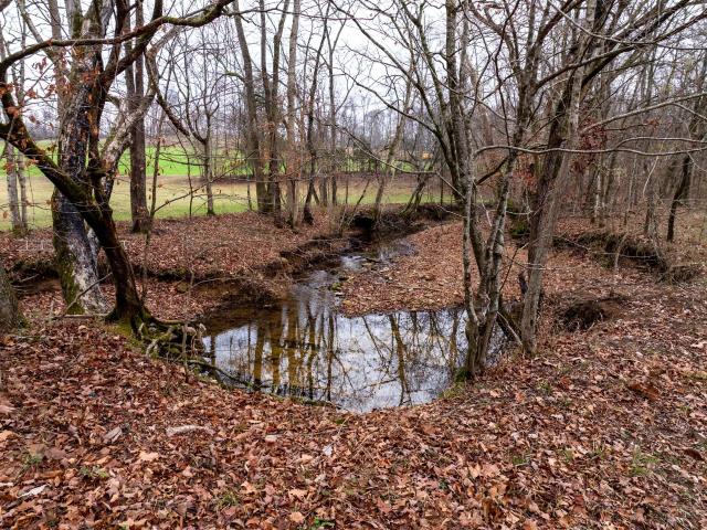 Land for sale in Tennessee