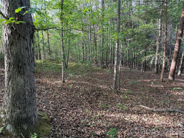 Land for sale in Rutherford, North Carolina