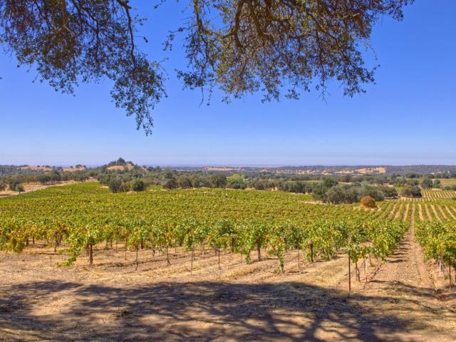 Land for sale in California