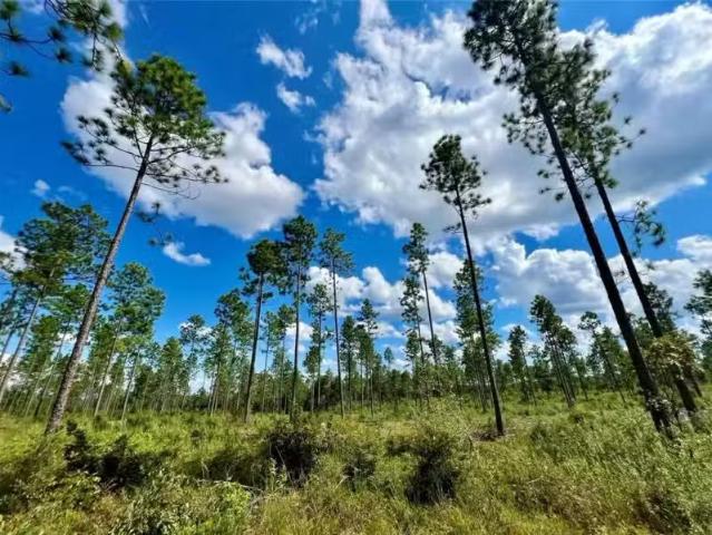 House for rent in Alabama