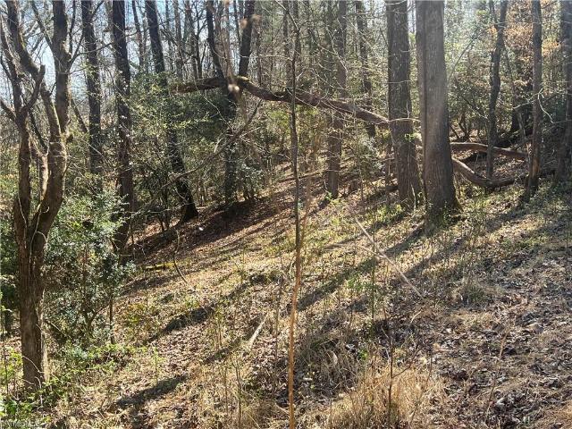 Land for sale in Millers Creek, North Carolina