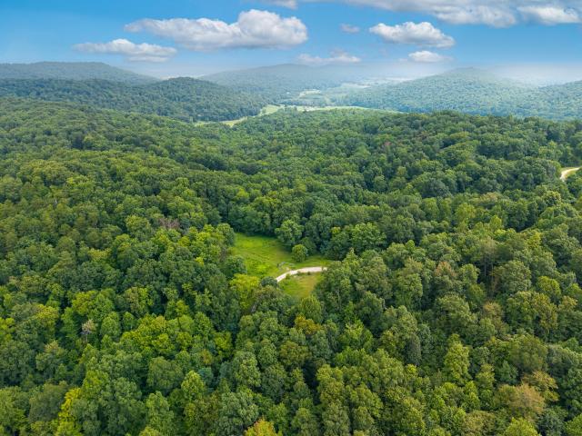 Land for sale in Monticello, Kentucky