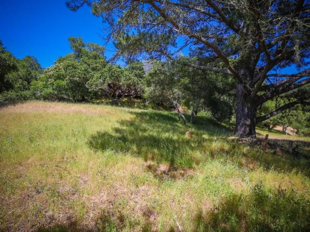 Land for sale in Santa Cruz