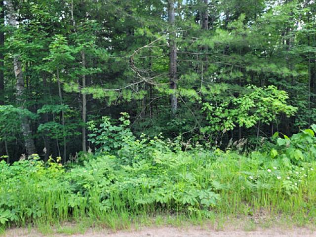 Land for sale in Markham