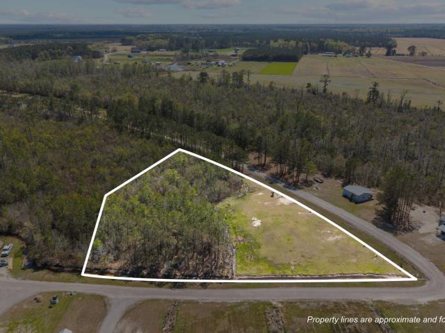 Land for sale in Columbia, North Carolina