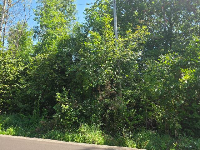 Land for sale in Wisconsin